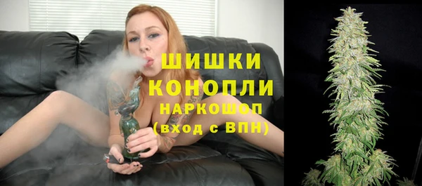 ешки Горняк
