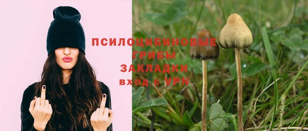 ешки Горняк