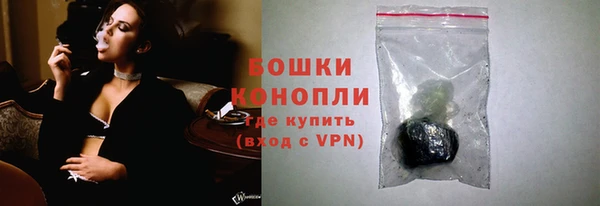ешки Горняк