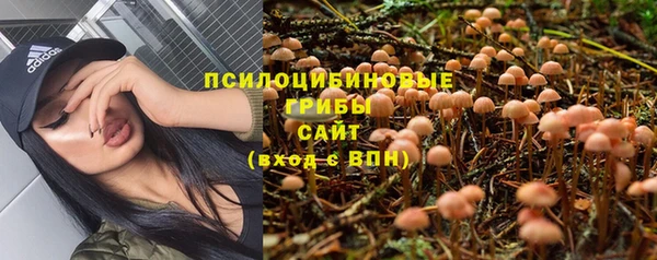 ешки Горняк