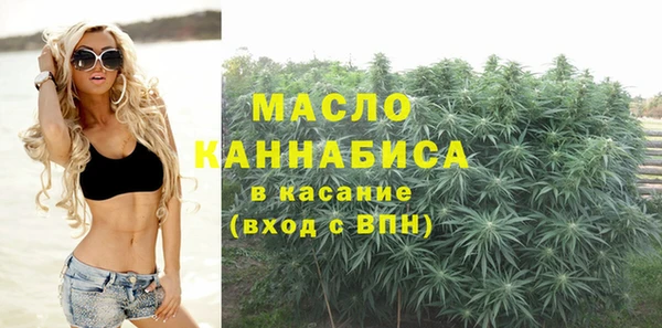 ешки Горняк