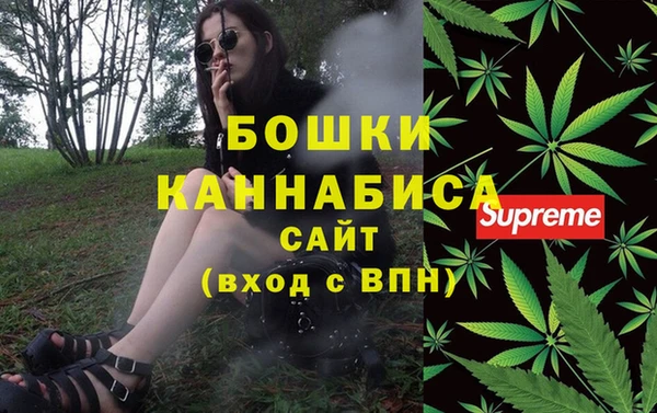 ешки Горняк