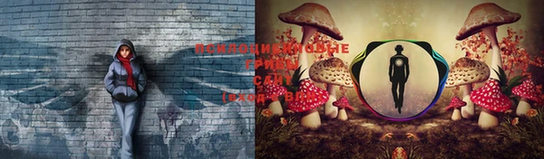 синтетический гашиш Горнозаводск