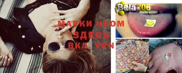 ешки Горняк