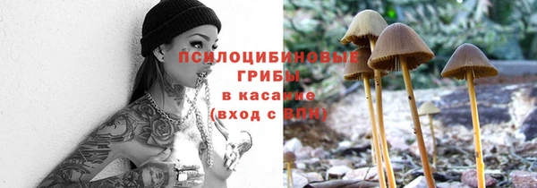 синтетический гашиш Горнозаводск