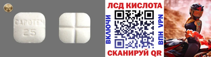 LSD-25 экстази ecstasy  Купить закладки  Котлас 