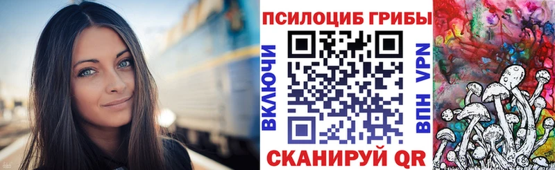 Купить  Котлас  Галлюциногенные грибы мицелий 